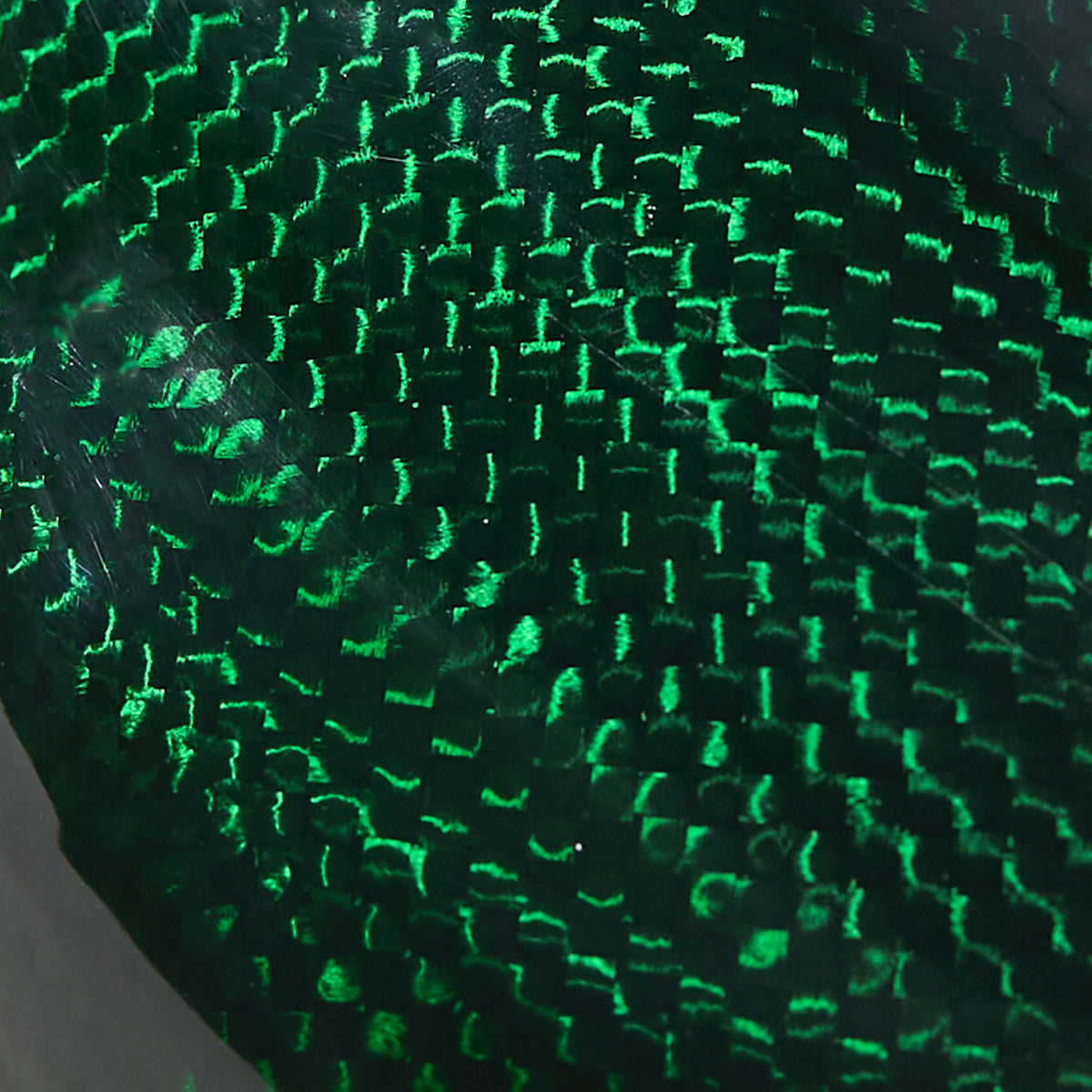 PARLEE-Colors-16.jpg