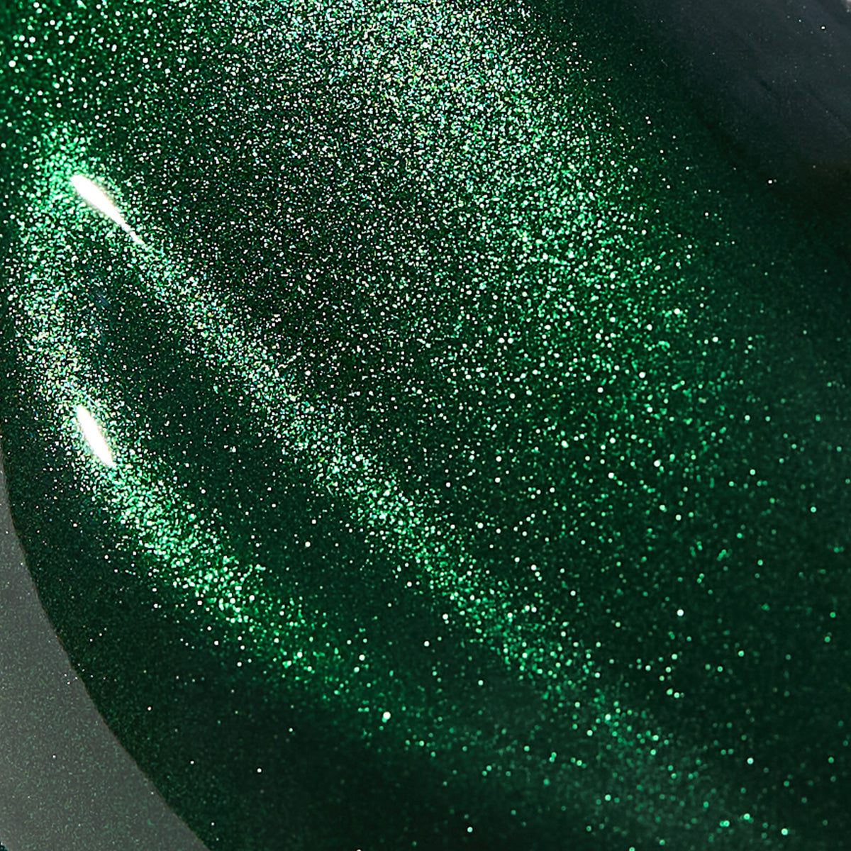 PARLEE-Colors-8.jpg